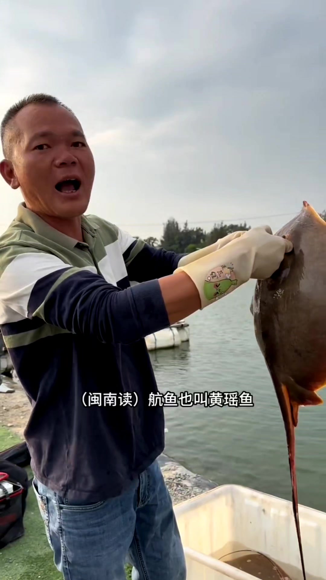 厦门收费的海水鱼钓场都放的是什么海鱼你能说出它名字吗