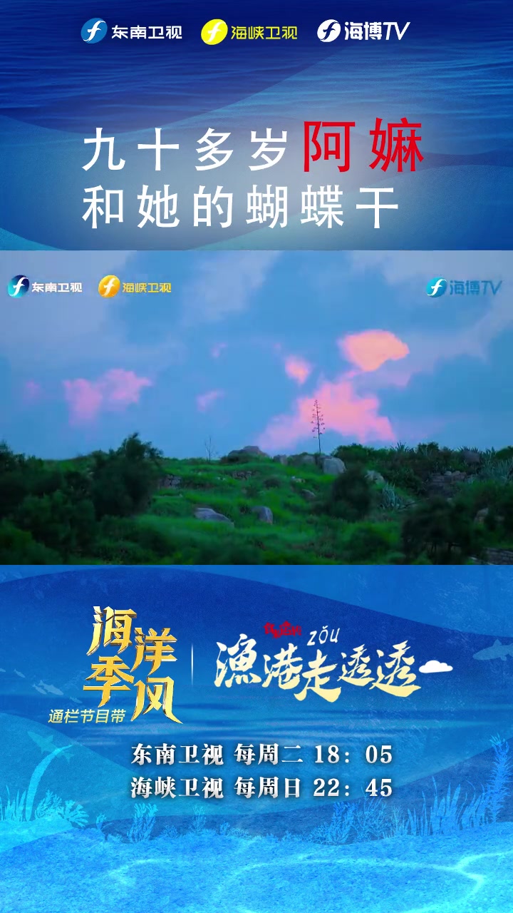 「九十多岁的阿嫲和她制作的蝴蝶干」淡菜,雅称“东海夫人”。晒干后的“东海夫人”一片片形似展