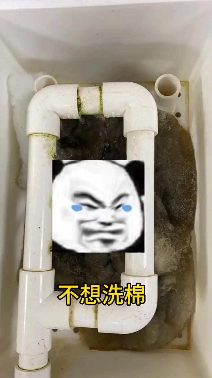不想洗棉 懒人鱼友看过来 毛刷沉淀仓两层物理过滤拦截垃圾杂质 自带排污功能减少洗棉次数 观