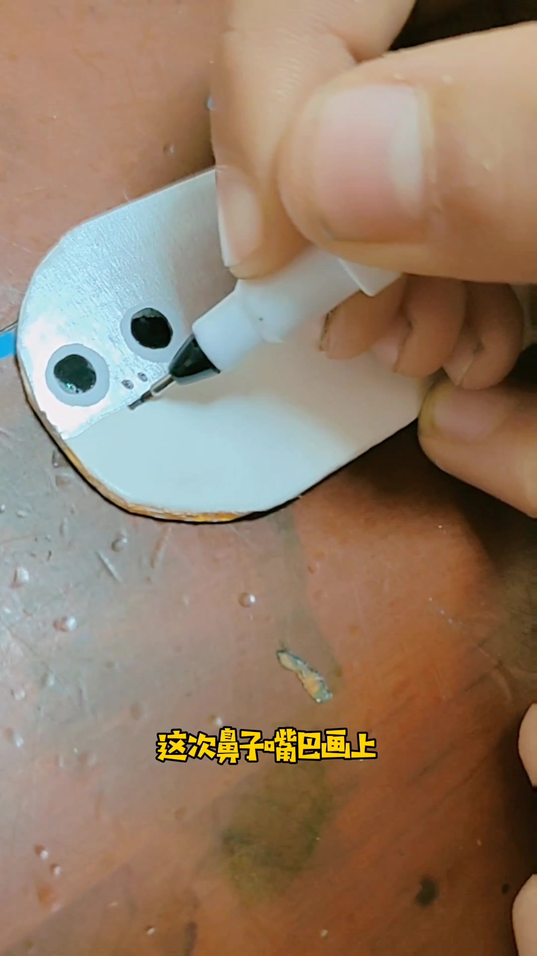 听说你们喜欢萨卡班甲鱼
