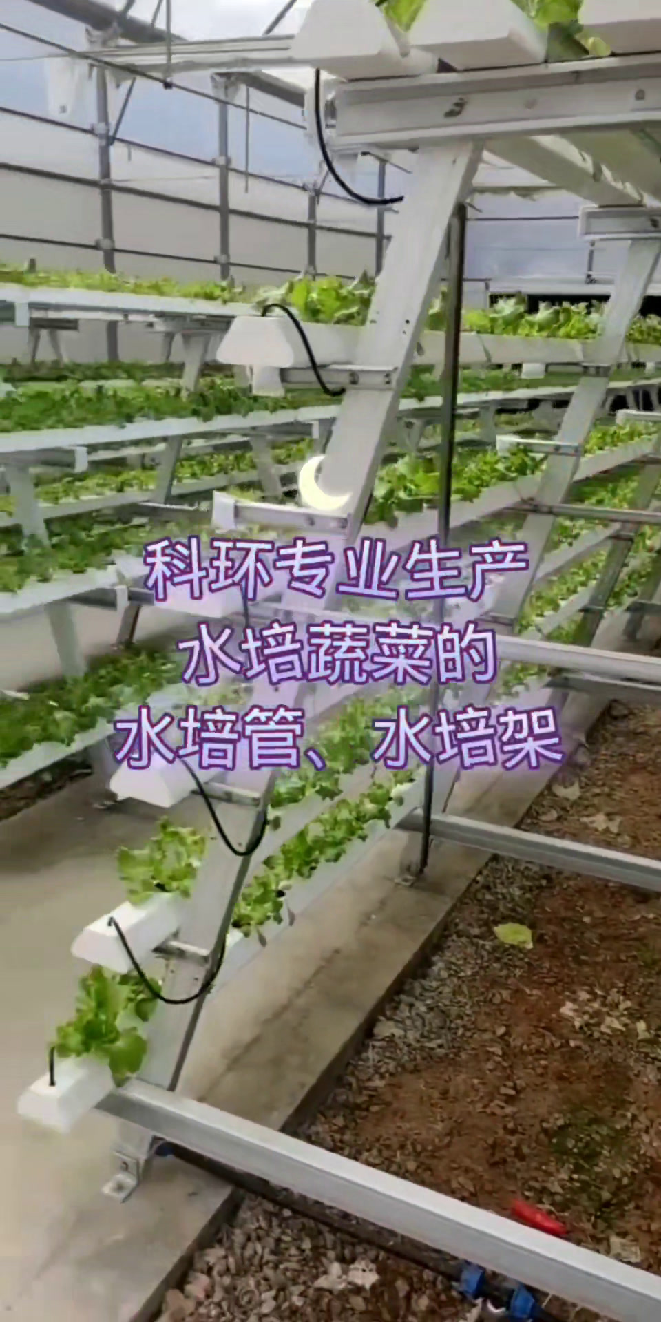 科环种植设备,水培种植蔬菜,蔬菜水培种植管,NFT水培管