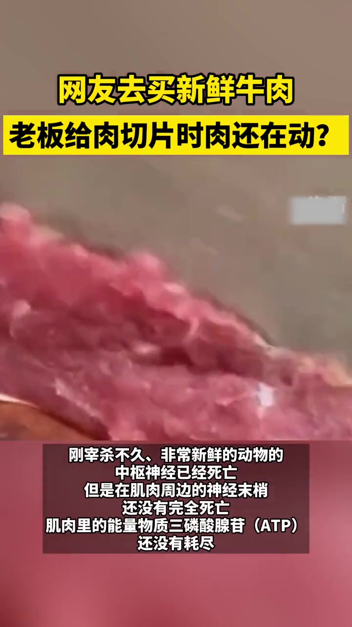 网友去买新鲜牛肉,老板给肉切片时肉还在动?本地新闻