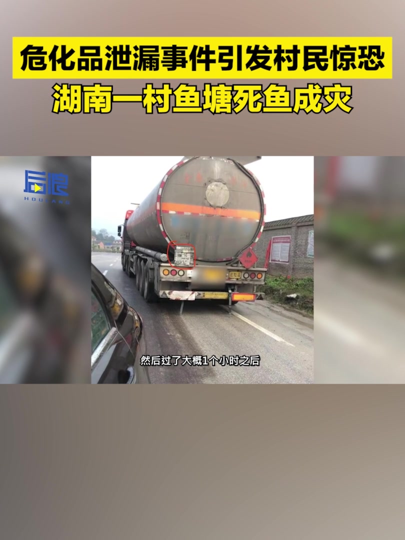 危化品泄漏事件引发村民惊恐,湖南一村鱼塘死鱼成灾