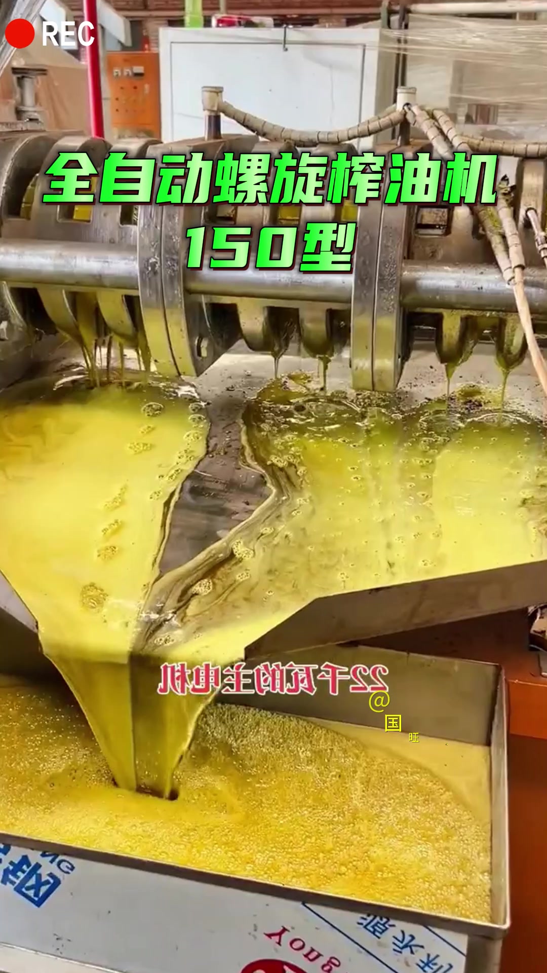 压榨菜籽油机器整套 炸芝麻油机器 豆油压榨机器