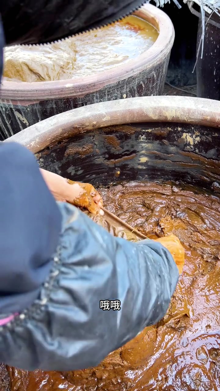 热门 四百年武定府酱菜