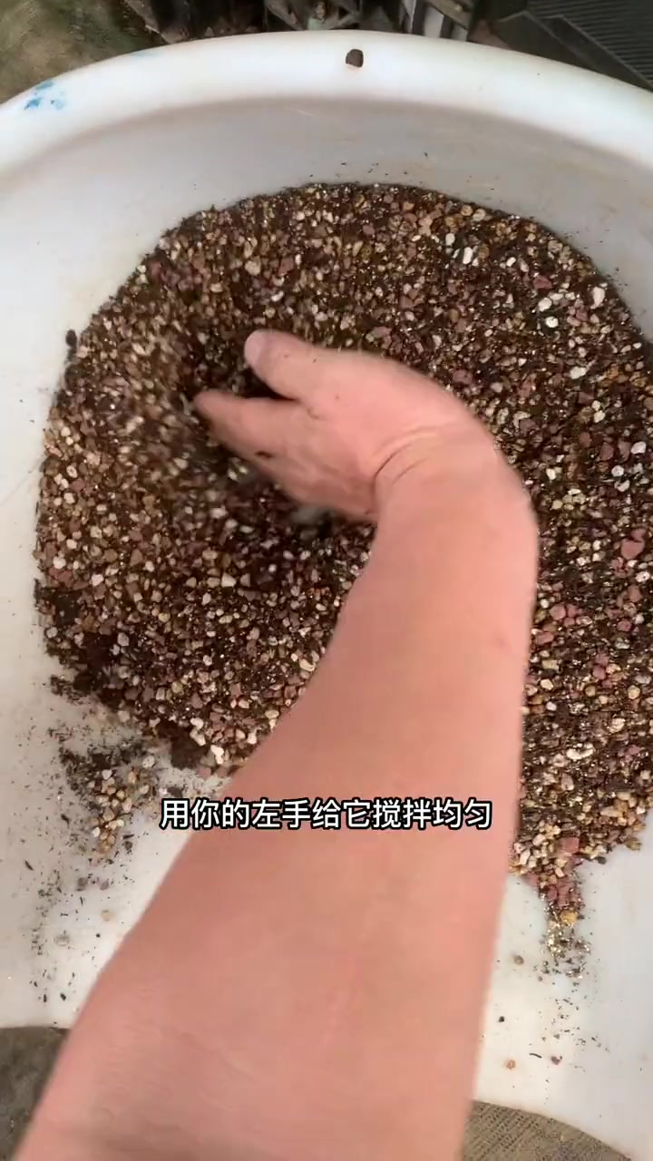 多肉植物怎么配土最好