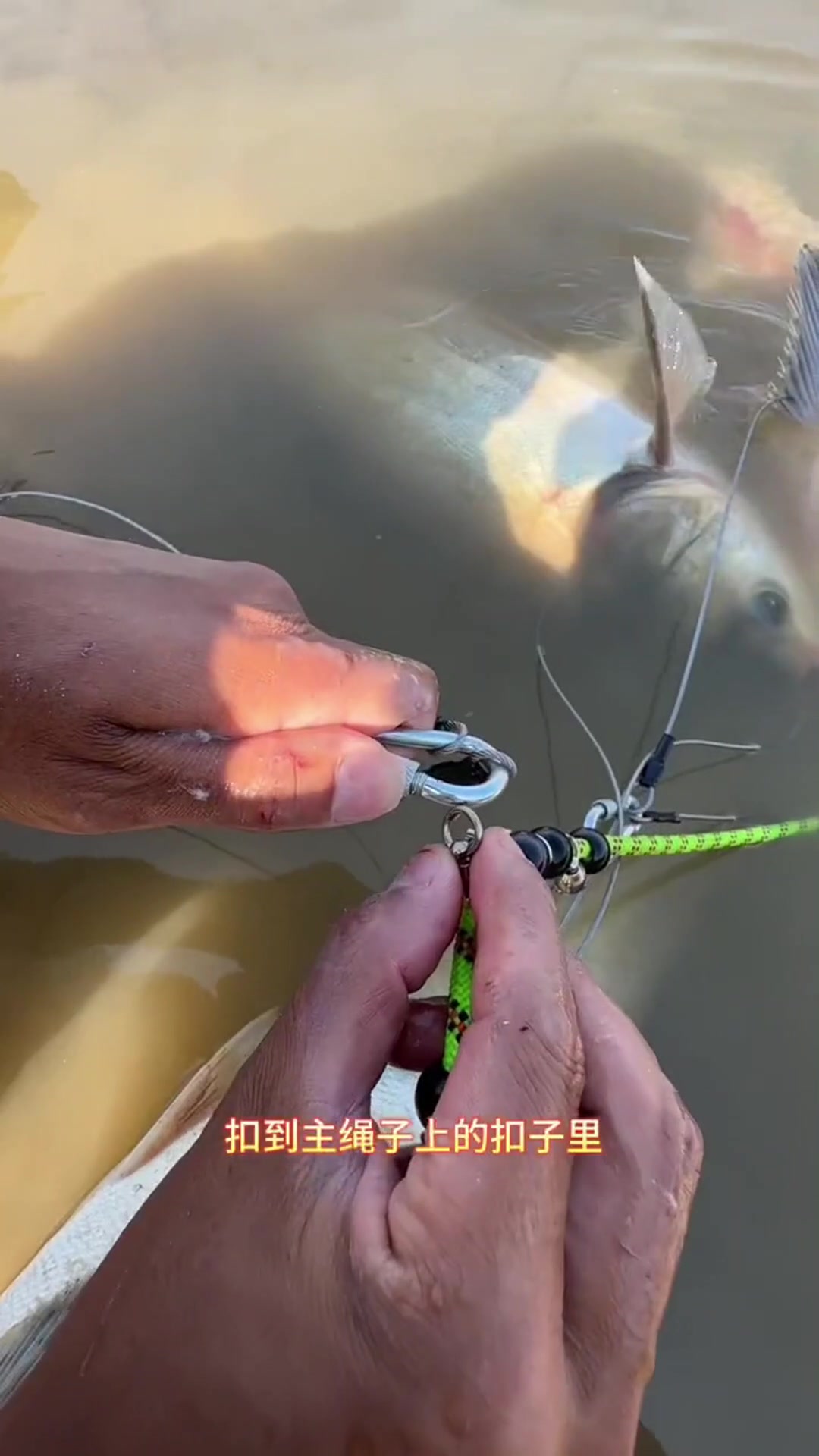 钓鱼技巧,活鱼扣,渔具用品,钓鱼,