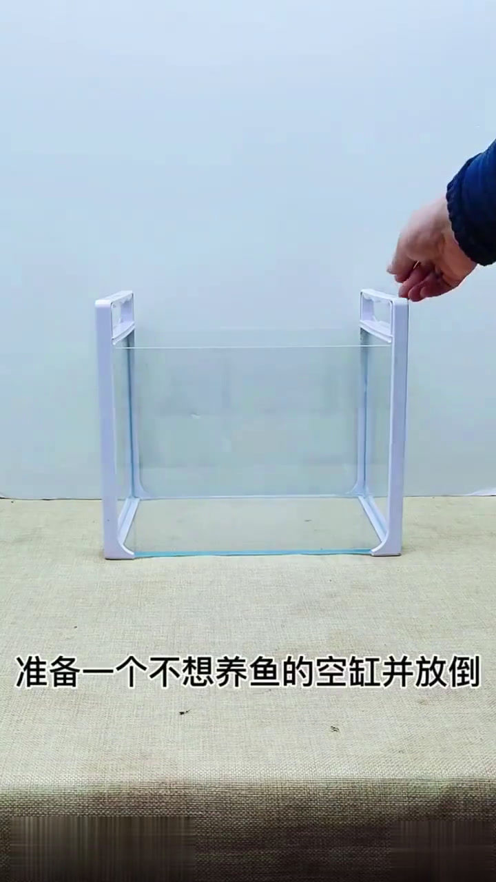废弃鱼缸造景来啦