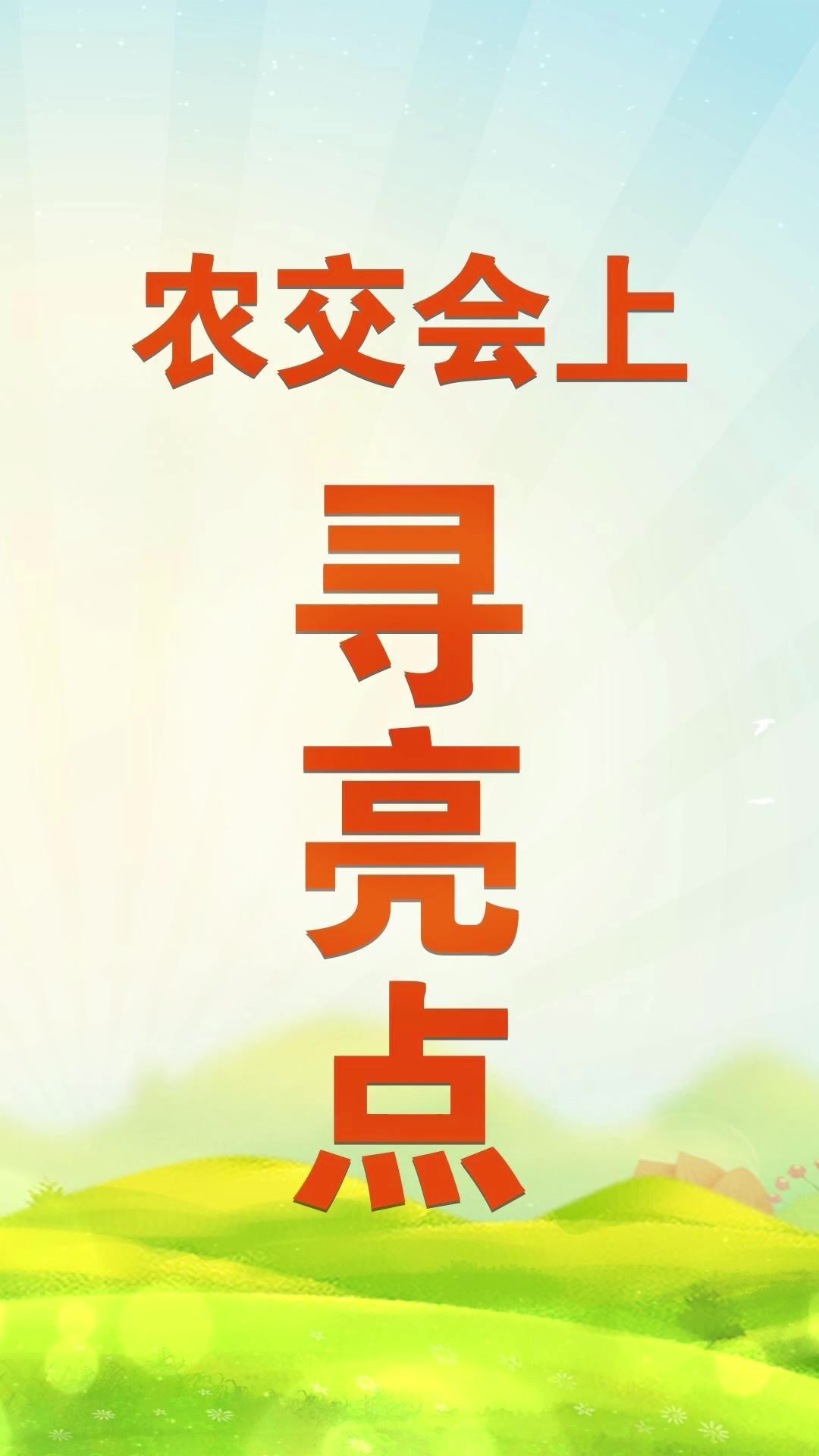 蔬菜中的显眼包——宝塔形状的大白菜你想不想尝尝?