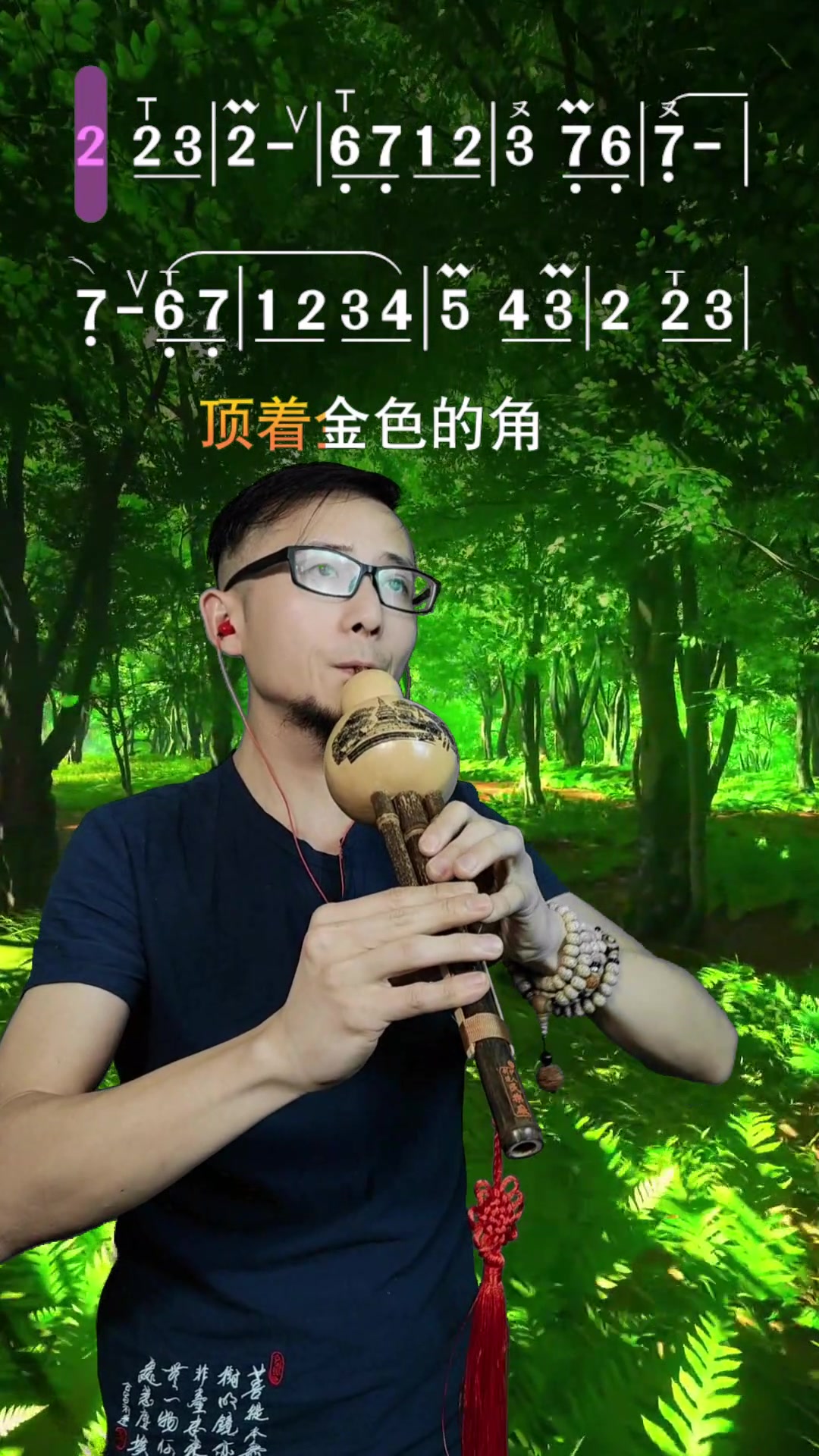 《森林狂想曲》教程葫芦丝技巧教学教学零基础入门,动态简谱示范