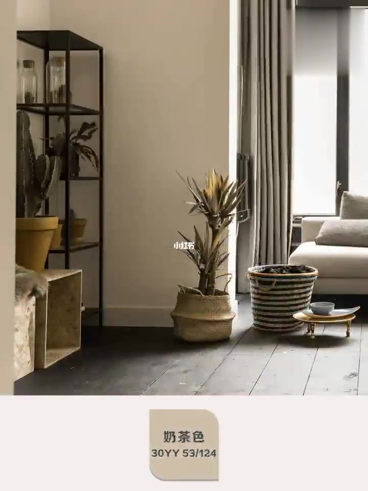 多乐士八款氛围色供你选