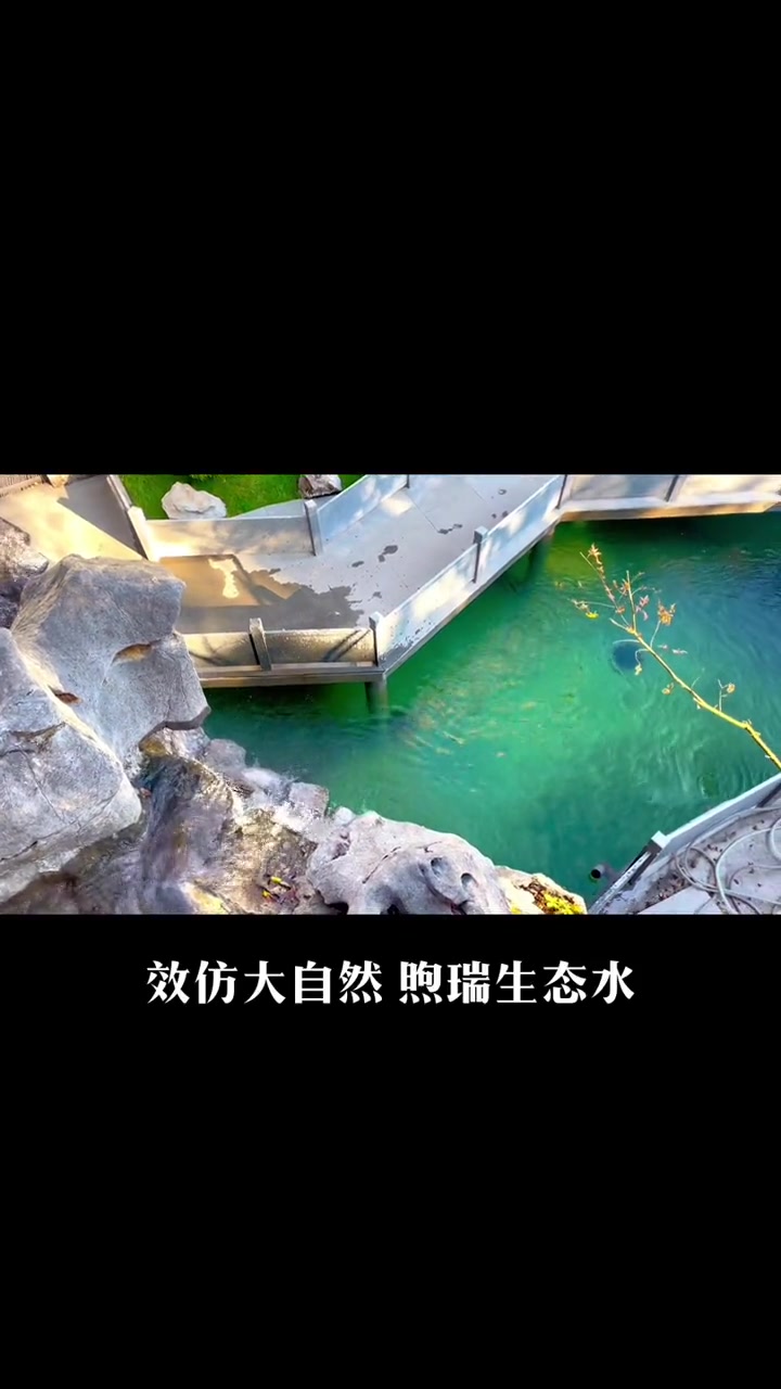 进入庄园,引入眼帘的就是这个锦鲤鱼池 锦鲤鱼池 庭院鱼池 鱼池过滤系统 鱼池设计 鱼池净化
