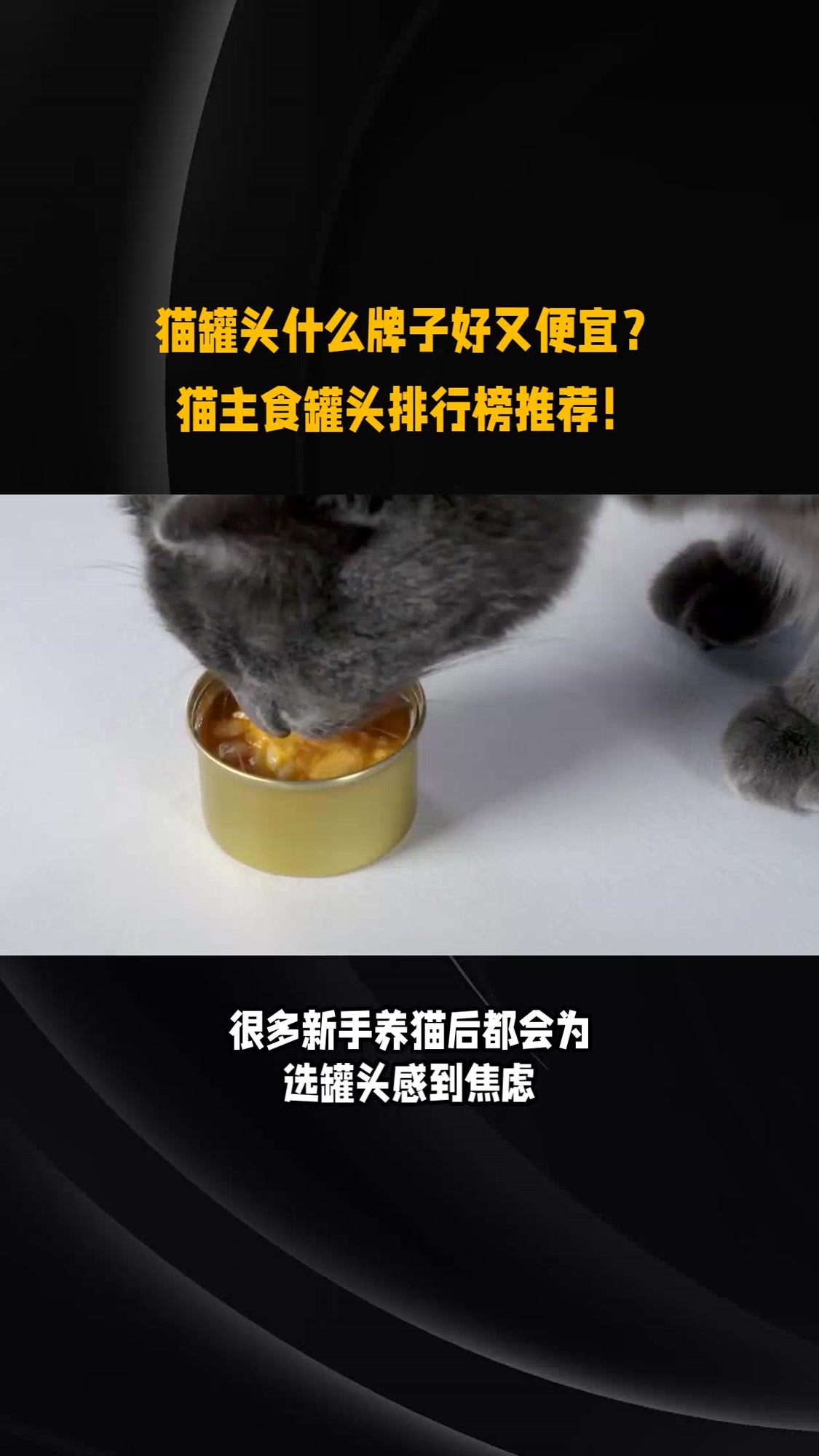 猫罐头什么牌子好又便宜?猫主食罐头排行榜推荐!