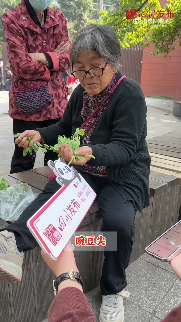 「四川人冬季不能没有的本命菜」冬天到来,四川人的冬季“菜篮子”也在逐渐上新中!「我来了」烫