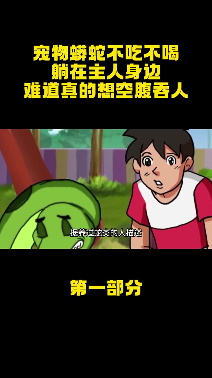 宠物蟒蛇不吃不喝,躺在主人身边,难道真的想“空腹吞人”?蟒蛇 宠物蛇 蛇类 动物