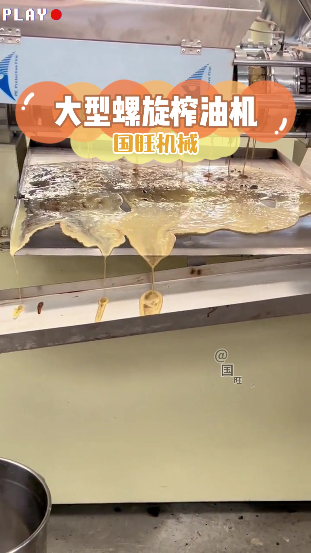大型榨菜籽油机器 采用四级压榨 可压榨花生油葵茶籽多种油料作物
