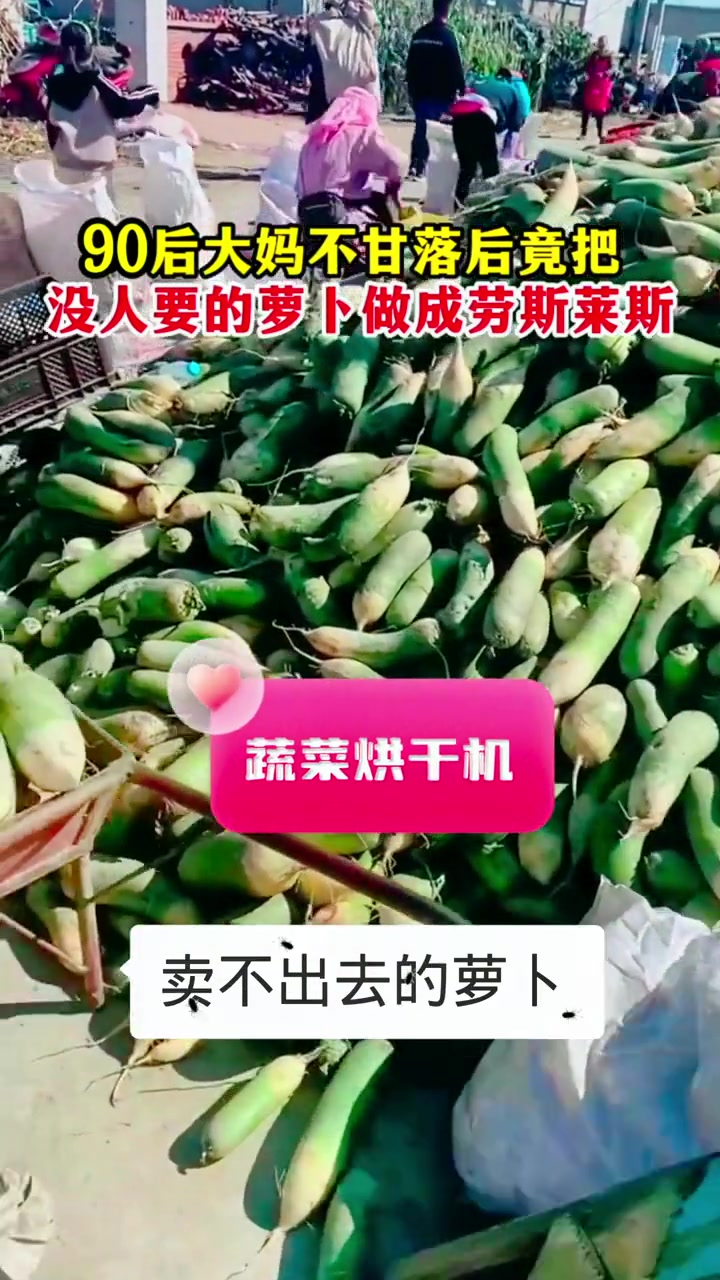 空气能烘干机 蔬菜烘干机 萝卜烘干机 果蔬烘干机厂家 香菇烘干机 90后大妈,不甘落后,竟