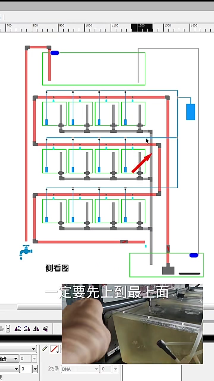 手工打造,繁殖组缸(三),组缸设计图