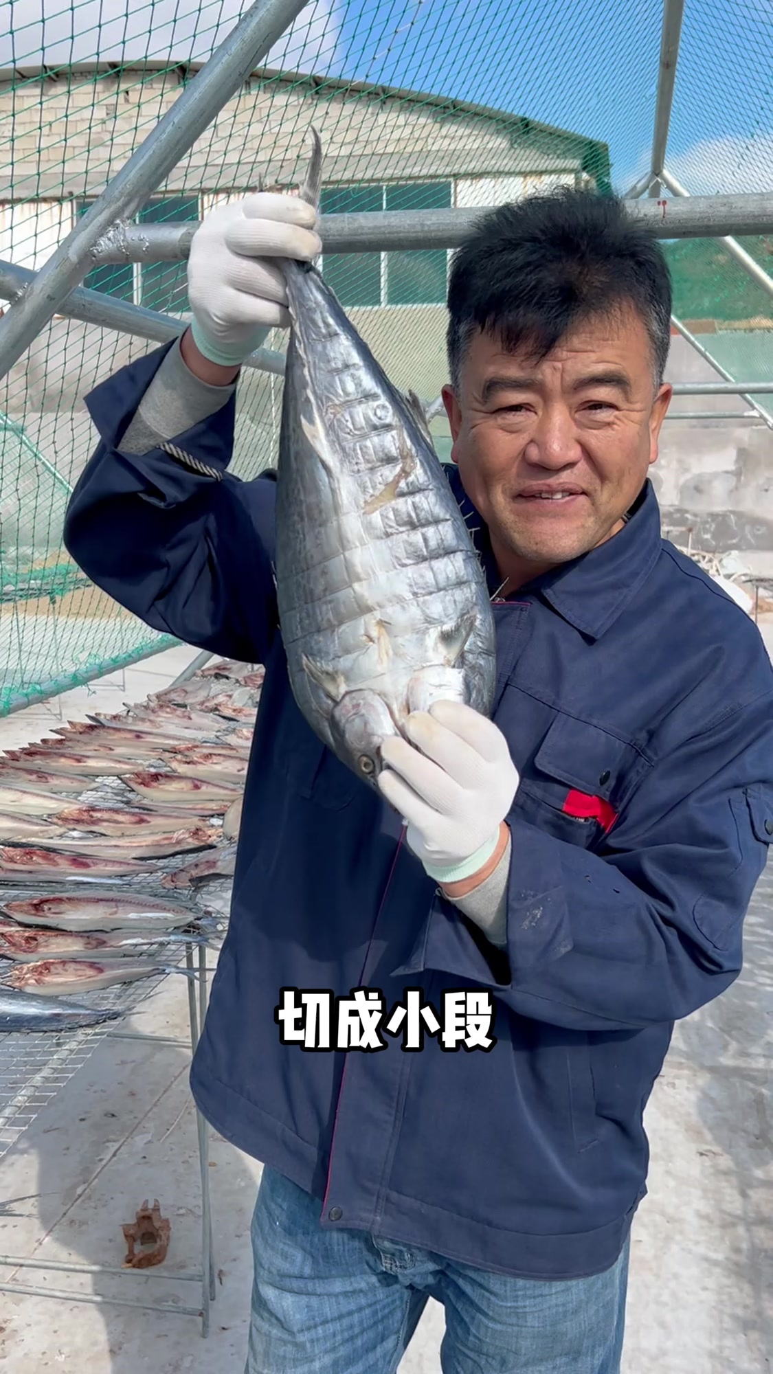 渔民老海推荐胶东特产一卤鲜鲅鱼干,切成小段烙一烙,鲜香又好吃