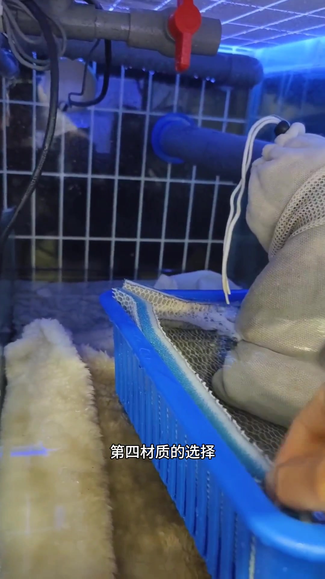 海鲜池厂家定做-上海鱼缸厂家制作,海鲜池,酒店海鲜池,鱼缸