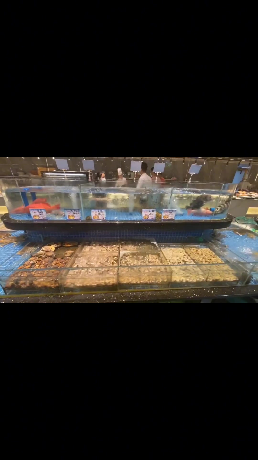 海鲜餐厅鱼缸应该如何设计?酒店海鲜池,海鲜池制作,鱼缸厂家