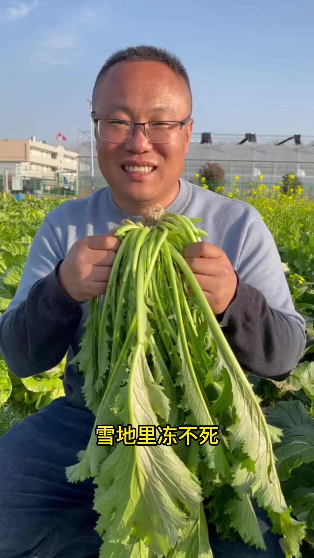 冬天最值得种的菜,雪里红,种一次吃整个冬天!