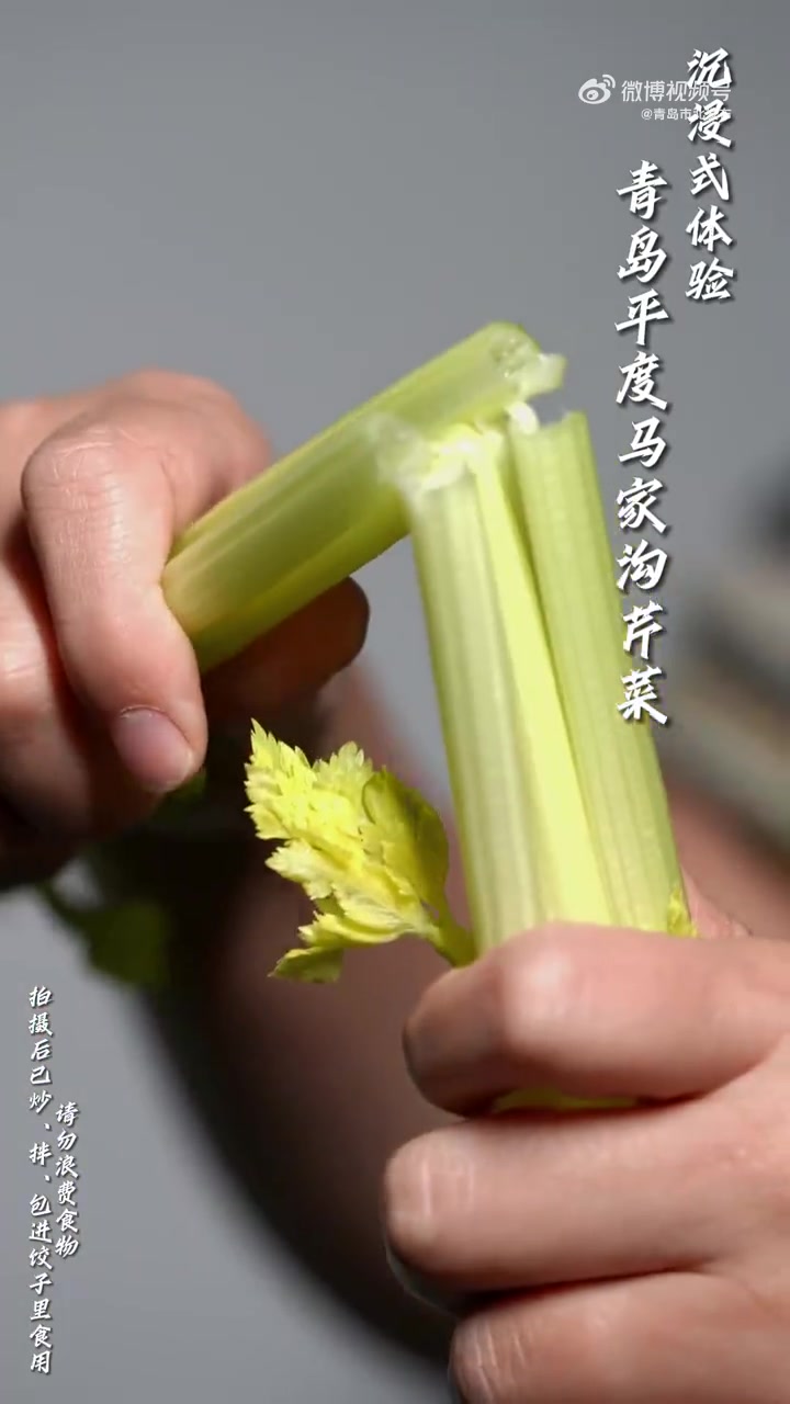 沉浸式体验平度马家沟芹菜。乡村振兴齐鲁样板——村村有好戏 Ai平度 马家沟芹菜 美食 解压
