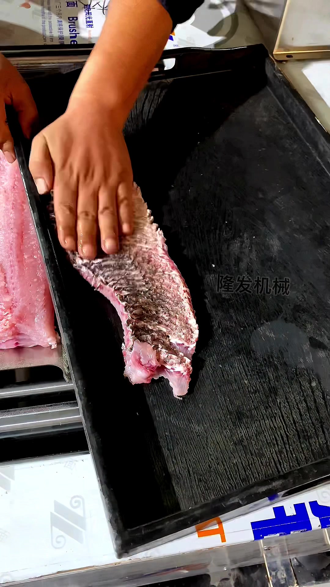 斜切鱼片机黑鱼切片机