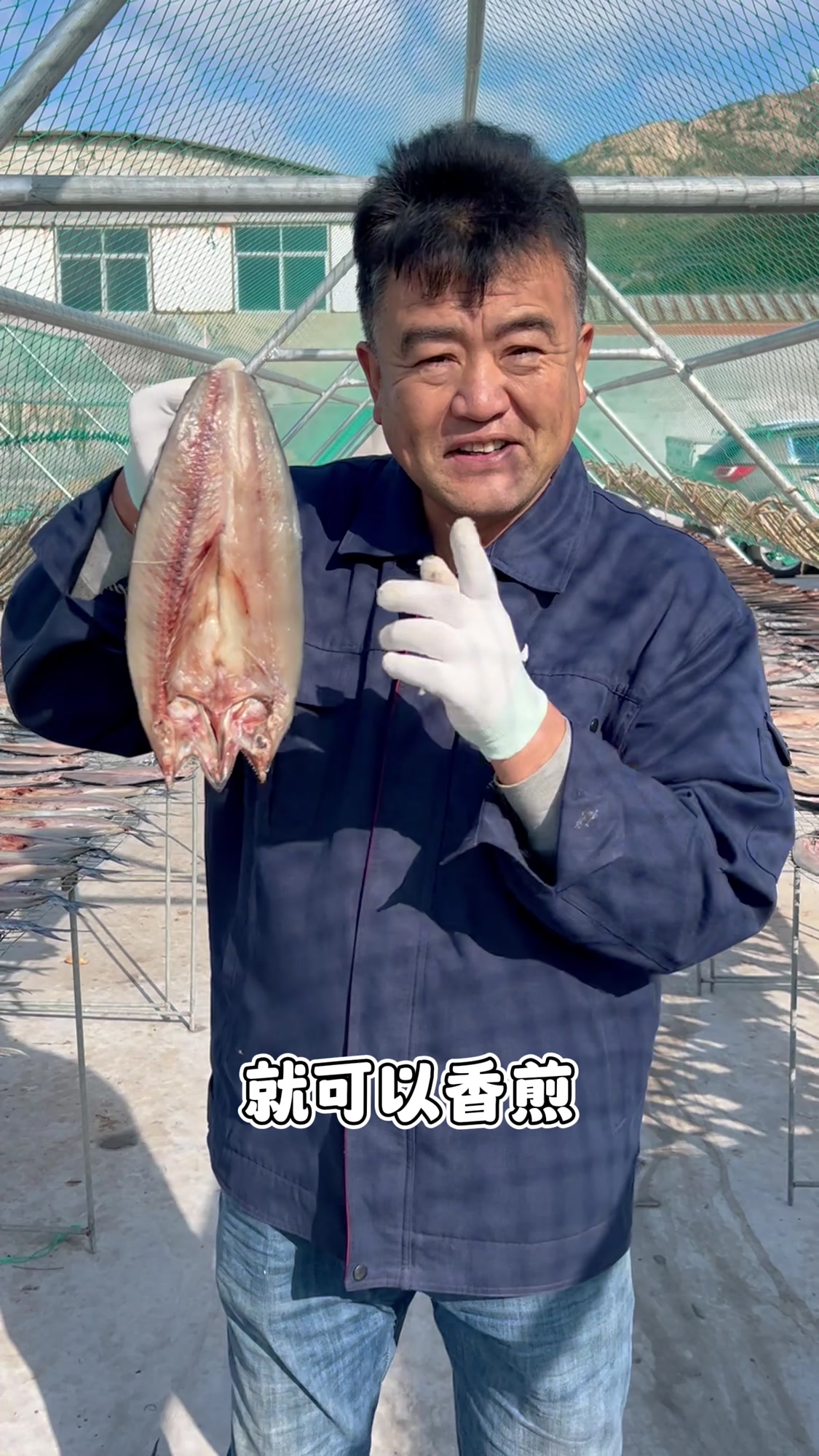 渔民老海胶东一卤鲜鲅鱼干,不需要二次处理,开袋放心做放心吃