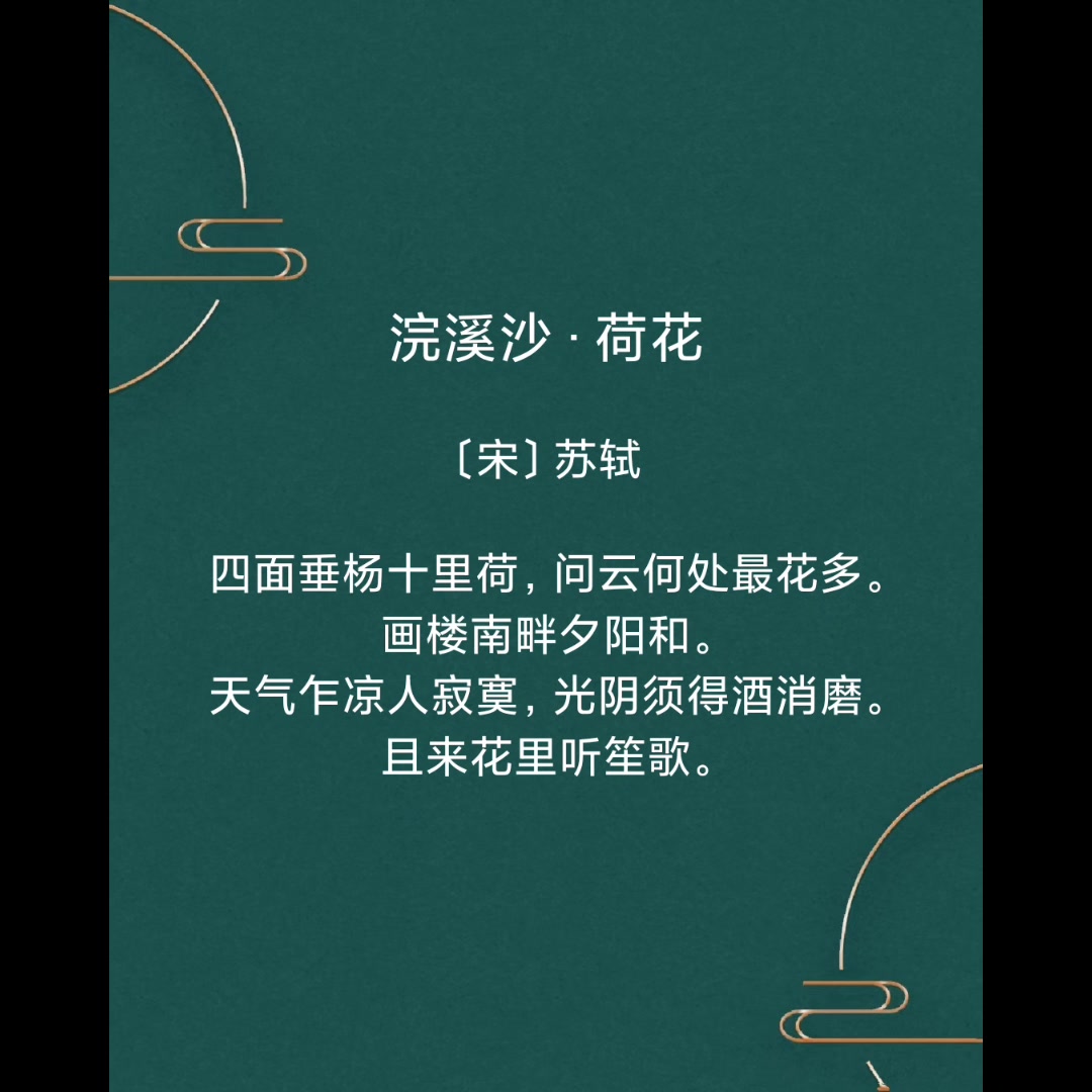 十首写荷花的古诗词哪首美到让你想去看一看