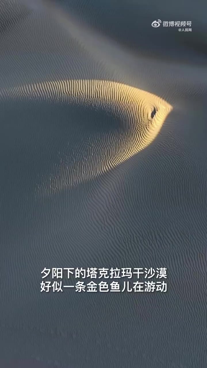 「见者好运!塔克拉玛干沙漠金鱼恋落日「心」」近日,新疆塔克拉玛干沙漠,摄影师用航拍记录下沙