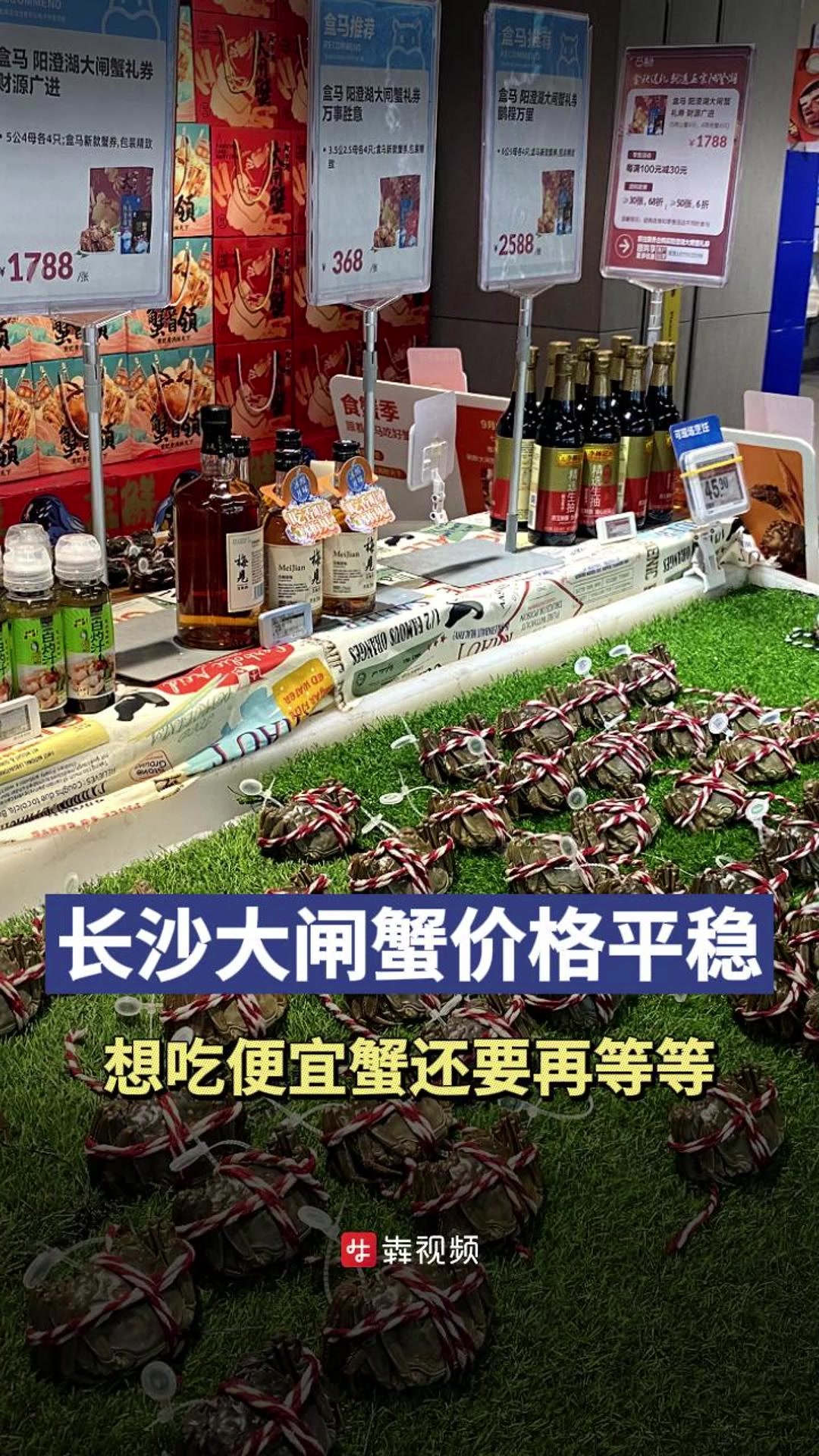 长沙大闸蟹价格未降,想吃便宜蟹还要再等等