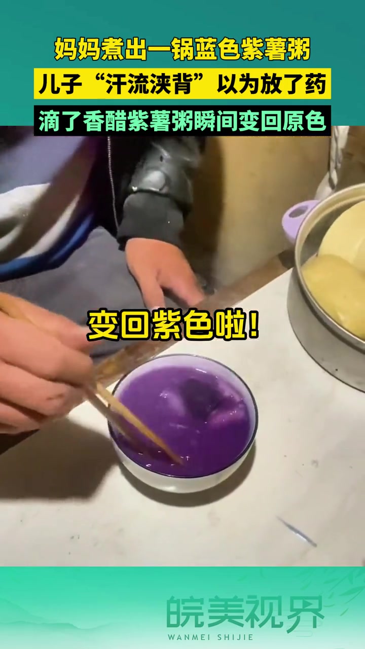 妈妈熬出一锅蓝色紫薯粥,儿子“汗流浃背”:这是放药了吗……