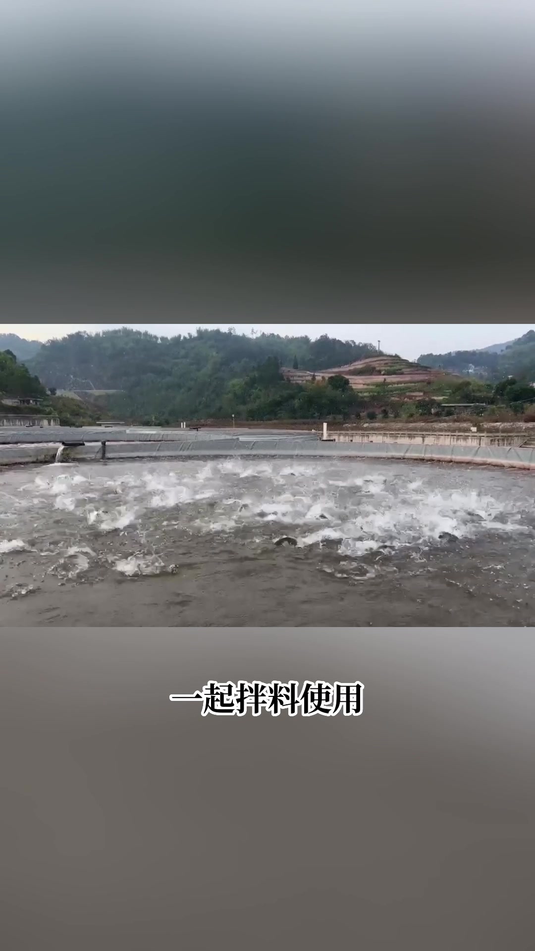 四川宜宾加州鲈鱼养殖,使用龙昌新品胆汁酸的反馈