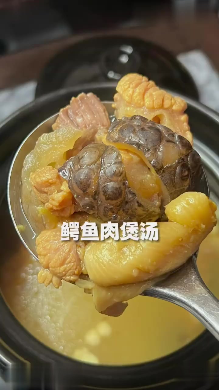 听说鳄鱼肉煲汤,有滋心润肺、平喘止咳作用