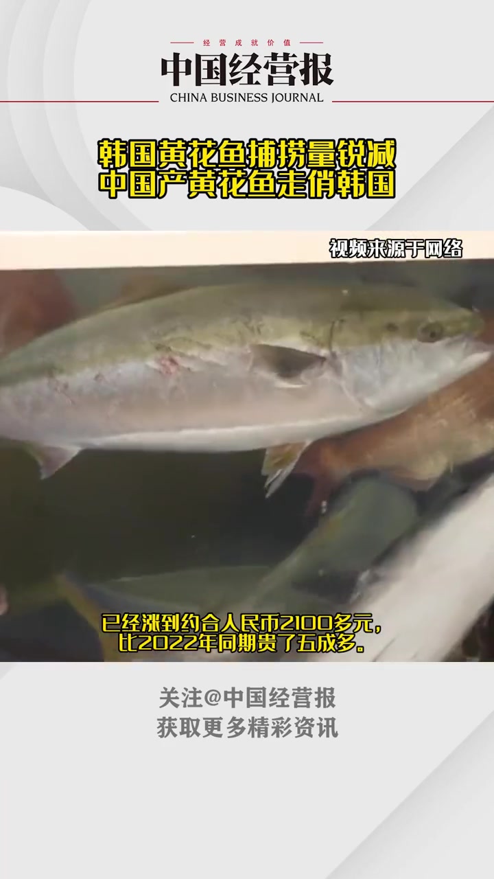 因近两年黄花鱼捕捞量锐减,中国产黄花鱼走俏韩国 中国产黄花鱼走俏韩国 韩国黄花鱼捕捞量锐减