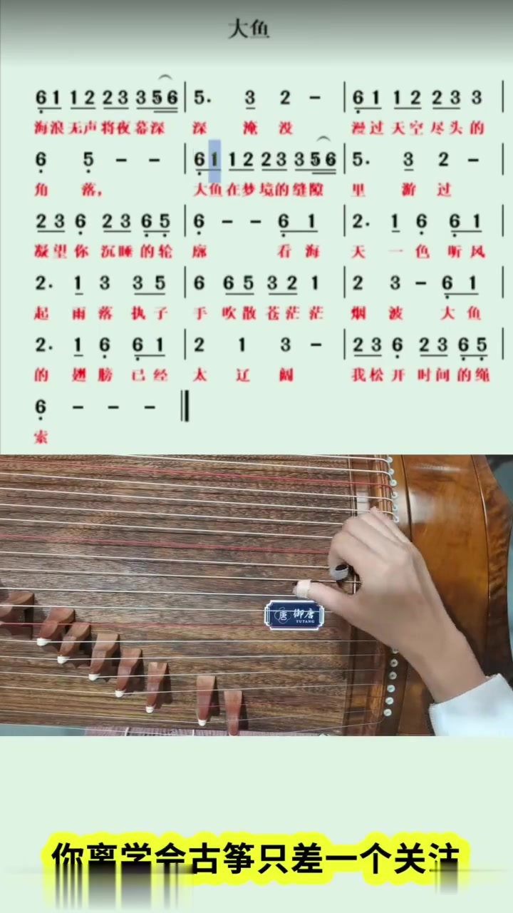 零基础学古筝之温暖治愈系歌曲《大鱼》