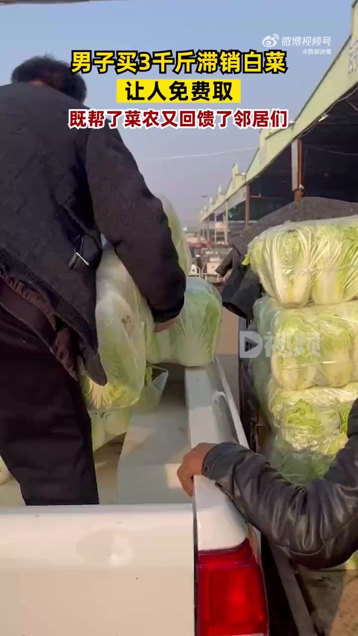 「男子买3千斤滞销白菜让人免费取:既帮了菜农又回馈了邻居们」11月20日,河南商丘。餐馆老
