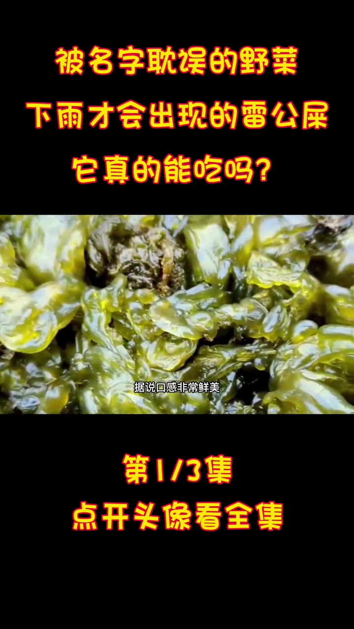 被名字耽误的野菜,下雨才会出现的“雷公屎”,它真的能吃吗?