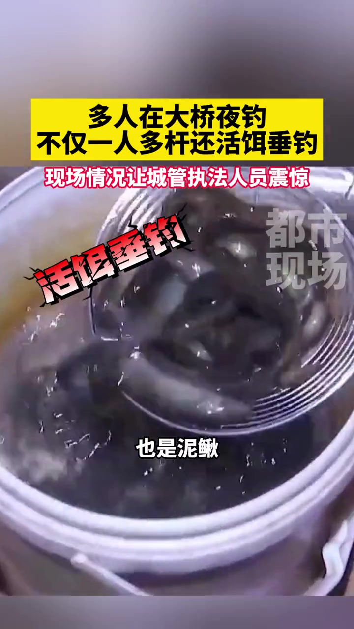 多人在大桥夜钓,不仅一人多杆还活饵垂钓!现场情况让城管执法人员震惊!南昌朝阳大桥活饵垂钓