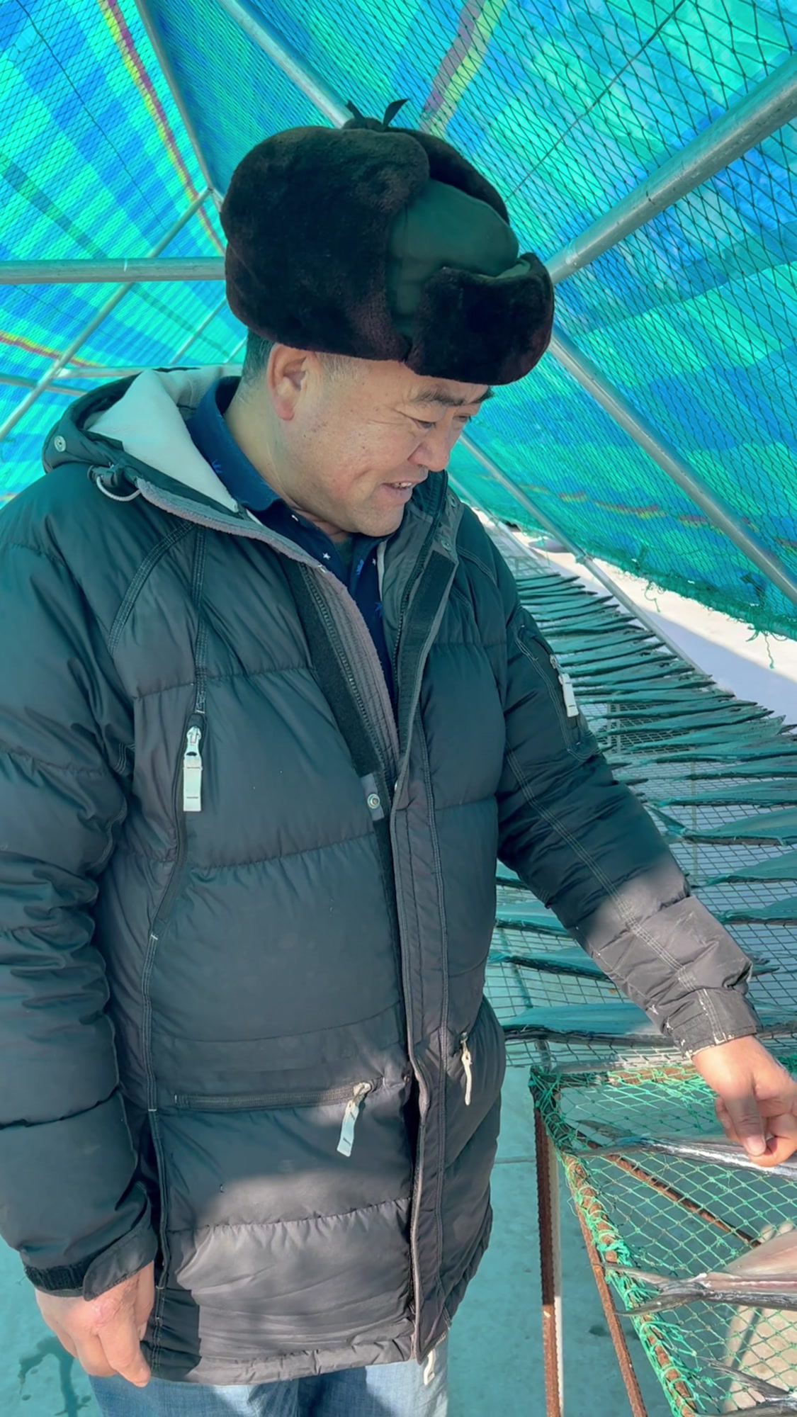 渔民老海今天带大家来鲅鱼干晒场啦,油炸肉质肥美鲜香,特别好吃