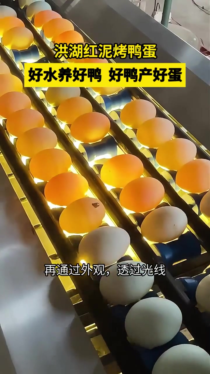 好水养好鸭,好鸭产好蛋!优质农产品 助农 乡村味道