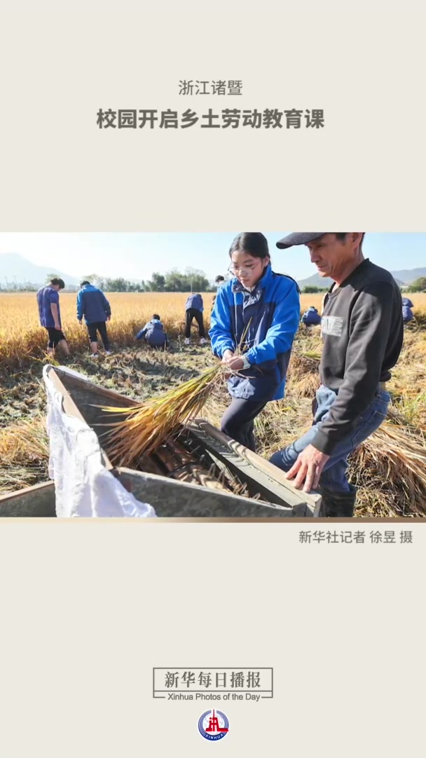 新华每日播报|11月22日