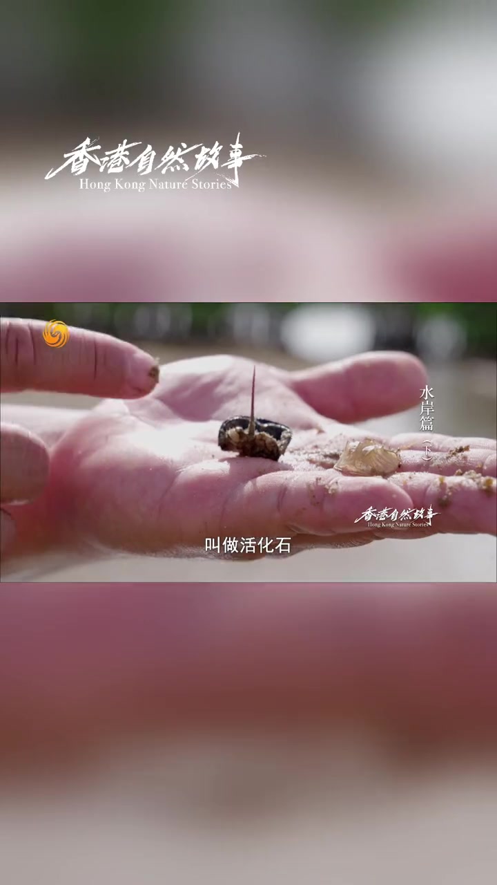 长得古早不怪你,毕竟三亿年没进化!——打眼一看这位貌似来自史前的朋友居然有着蓝色的血液,让