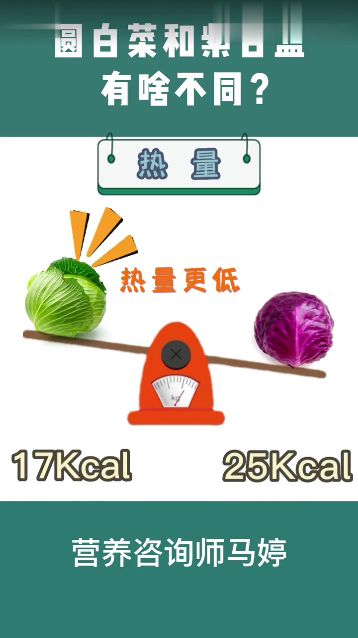 「营养大PK」圆白菜VS紫甘蓝