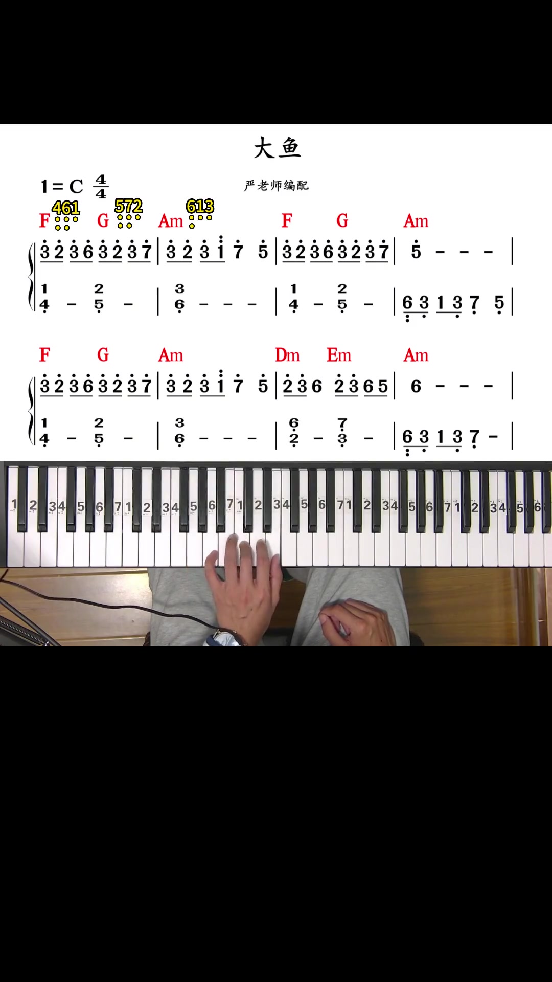 大鱼简单又好听的慢动作教学 钢琴教学 电子琴教学