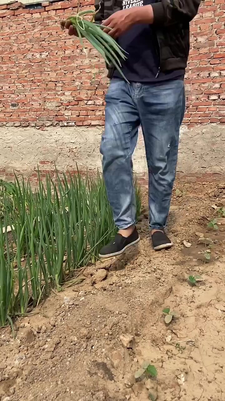 红烧牛尾,农村铁锅炖