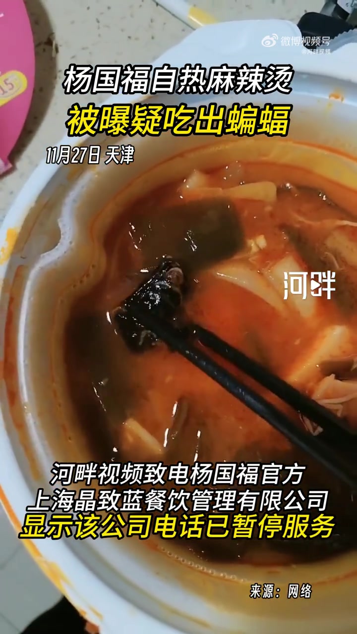 「杨国福自热麻辣烫被曝疑吃出蝙蝠」11月27日,天津。一女子在网上发视频称:自己的孩子在从