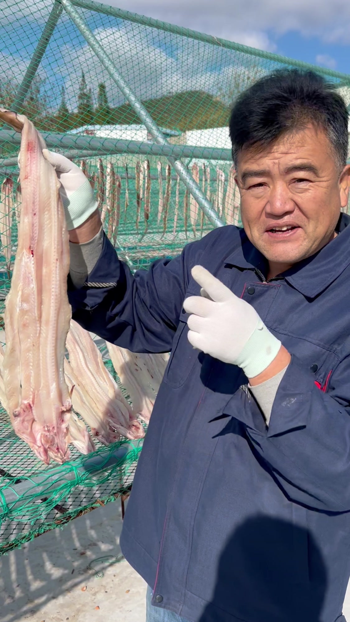 渔民老海今天带大家来晒场啦,鳝鱼干可香煎可油炸好吃又营养