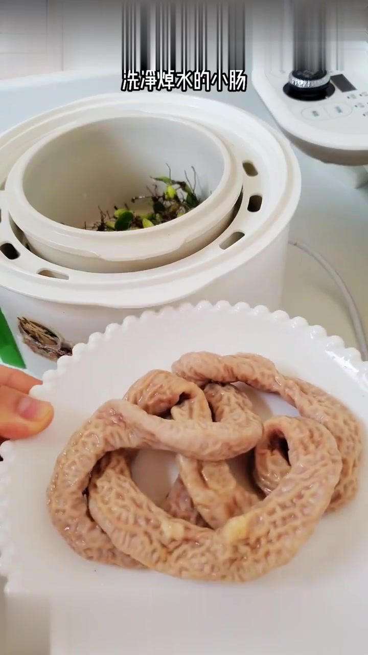 缓解咽喉肿痛的石橄榄小肠汤